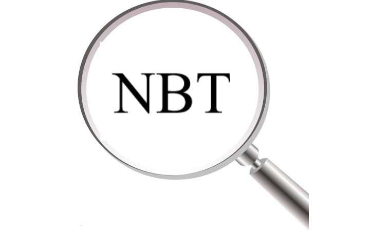 文件:NBT数据导出.png